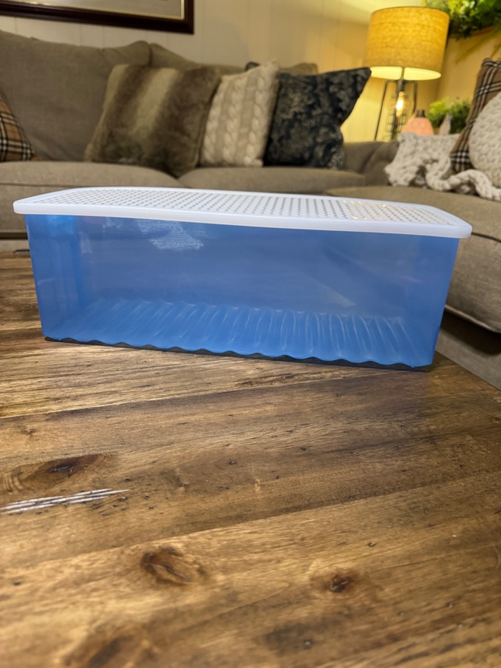 TUPPERWARE FRIDGESMART Vented Blue Plastic Storage Container White Lid